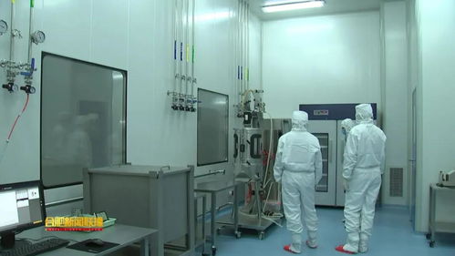 安科生物 以研發為翼，驅動創新未來的安徽生物科技領軍者